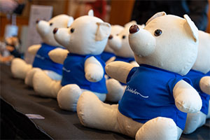 Graduation merchandise teddy bears