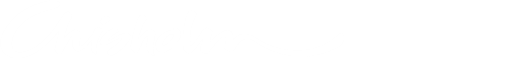 Chisholm logo